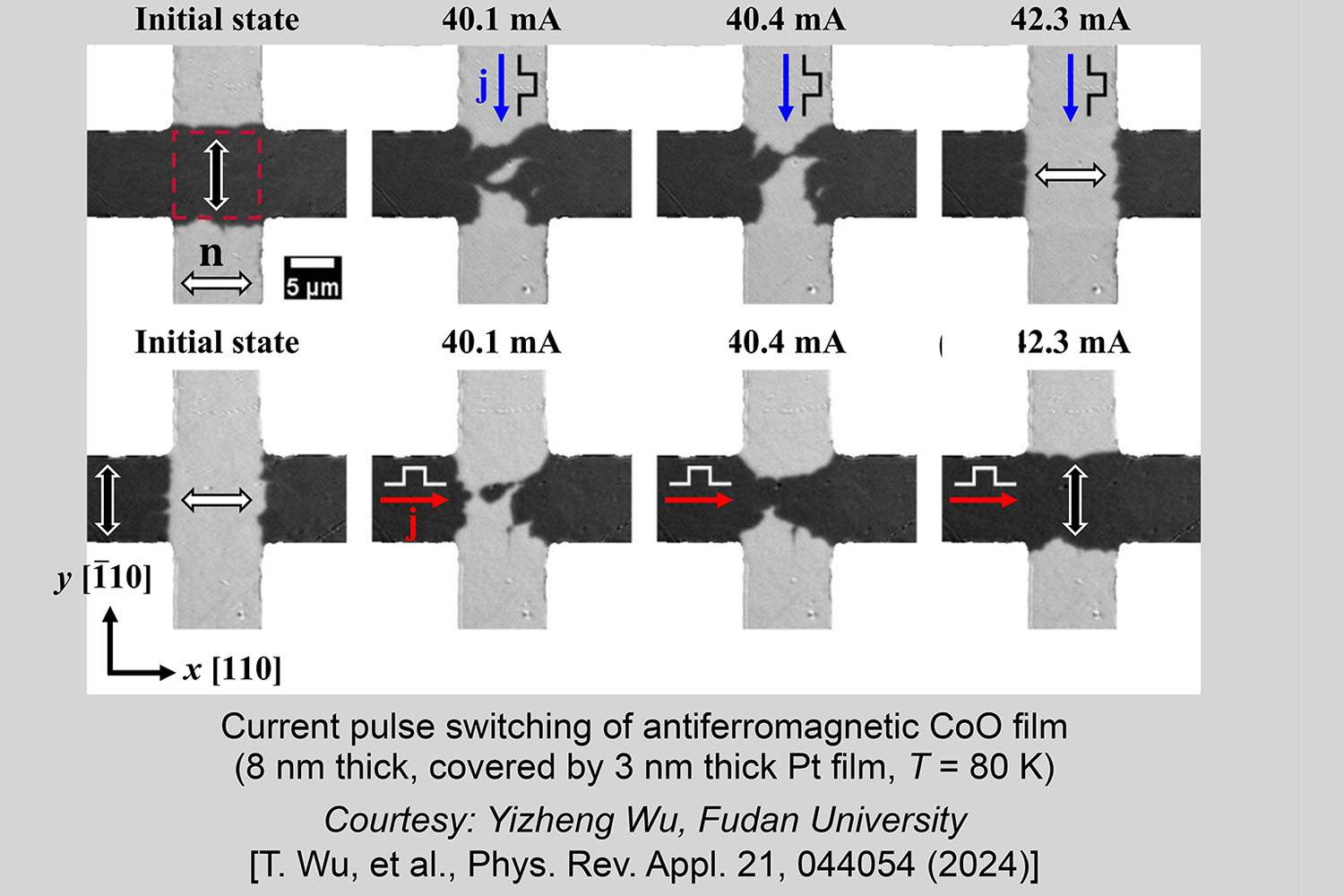 Domain imaging of antiferromagnetic films