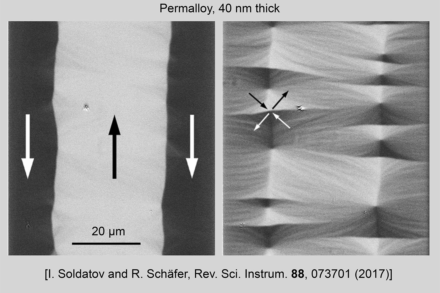 Multicomponent imaging in real time